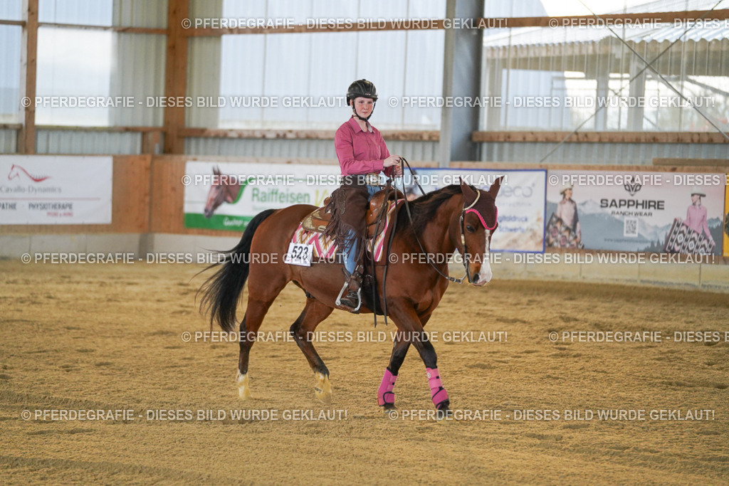 DSC08878 | Pferdegrafie