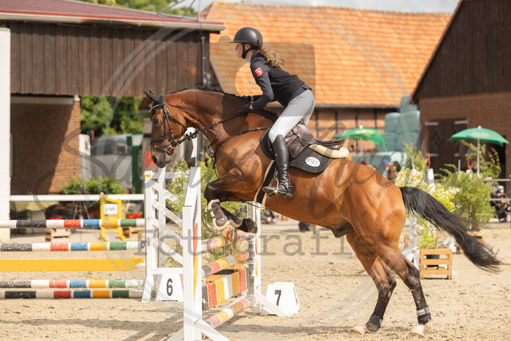 994A9590 | sabrinanicolaifotografie - Realisiert mit Pictrs.com