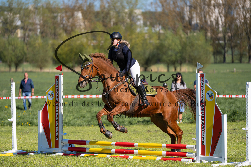 A7V01536 | Pferdefotograf