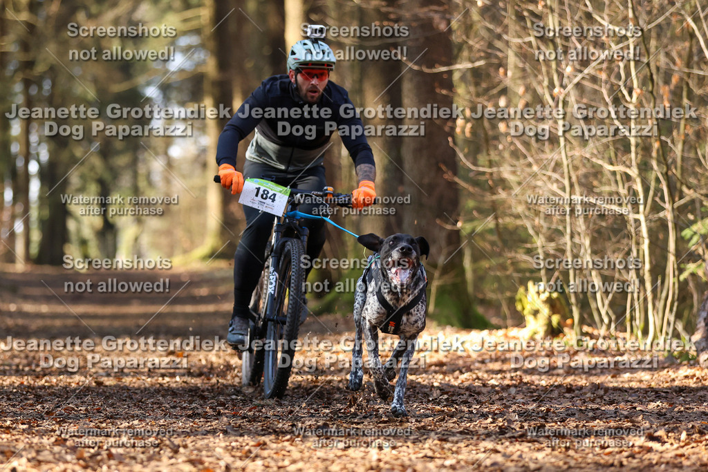 Dog Paparazzi - VCC26-932 | Dog Paparazzi Jeanette Grottendiek Fotografie & Videografie - Realisiert mit Pictrs.com
