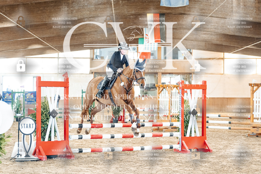 CK903733 | Turnierfotografie Pferdefotografie Trier Rheinland-Pfalz Pferdesport Reitsport Tierfotografie Sportfotografie Pferdevideo Pferdevideografie Equestrianvideography equestrianphotography  - Realisiert mit Pictrs.com