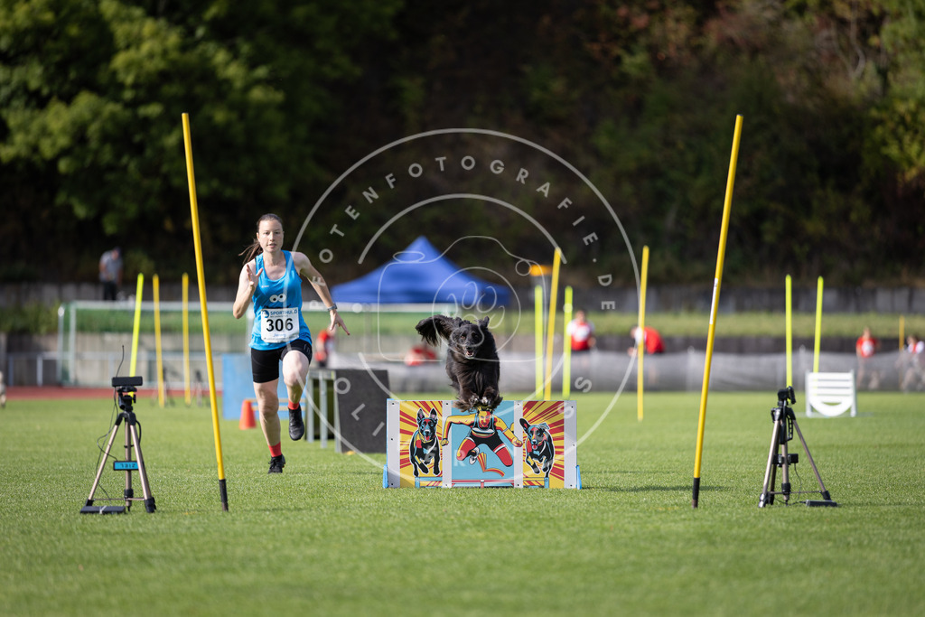 Pfotenfotografie_DV3A1354 | Hundefotografie, Tierfotograf, Pfotenfotografie, Fotoshooting Hund, Hunde Portrait, Hundesport, Hundeportraits, Heideshooting, Hunde, Sportfotograf, Hundefotograf, Turnierhundsport, THS,  - Realisiert mit Pictrs.com
