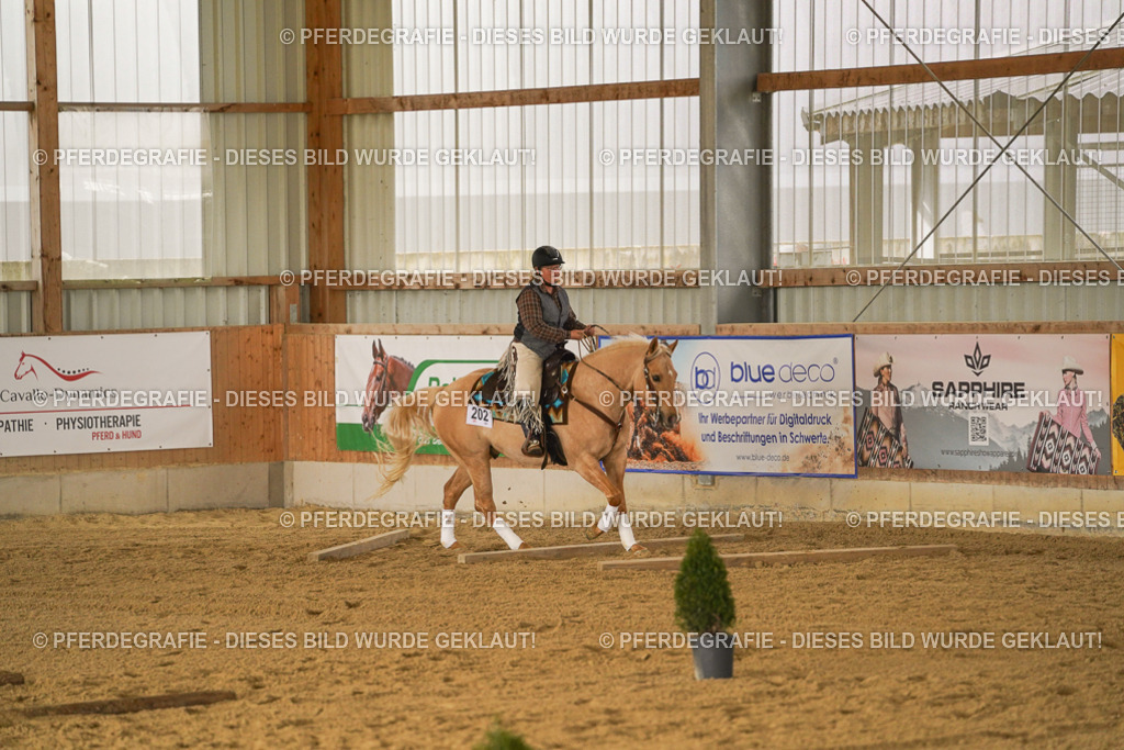 DSC04908 | Pferdegrafie