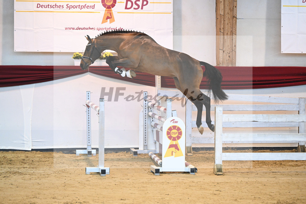 Kat-Nr. 24 v. Don VHP Z_Schwinghammer_66221305 | hf-fotografie - Realisiert mit Pictrs.com