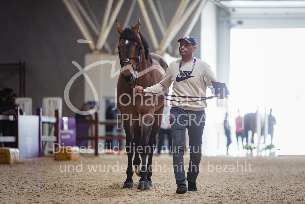 230215_Riyadh_Vet-Check-101 | Deine schönsten Turniermomente als professionelle Fotos! Entdecke hochwertige Pferdesport-Fotografie im Online-Shop. Jetzt Fotos finden & bestellen!