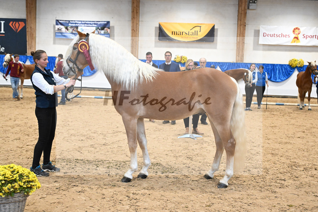 Kat-Nr. 20 nn v. Nakuri_Linder_48254153 | hf-fotografie - Realisiert mit Pictrs.com