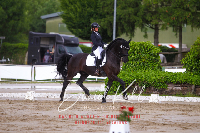 DKP40822 | Turniersportfotografie; Pferdefotografie; Dressurfotografie