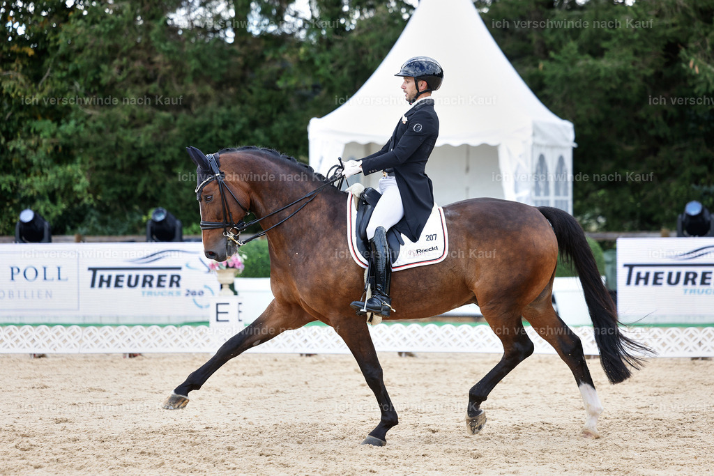 10-207-ST.GEORG SPECIAL -StoibPH-3265 | working equitationturnier fotograf videograf stoibphotography marixx film working equitation deutschland reitsport turnierfotografie eventfotografie equestrian events