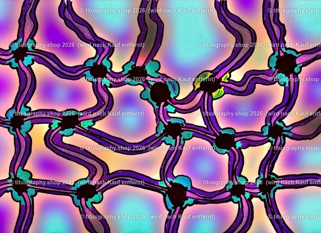 titusgraphy NEON-Kollektion 01-23 | Arbeit aus der titusgraphy-Fotokunstgalerie. Die erste Kollektion umfasst 24 Exemplare.  - Realisiert mit Pictrs.com