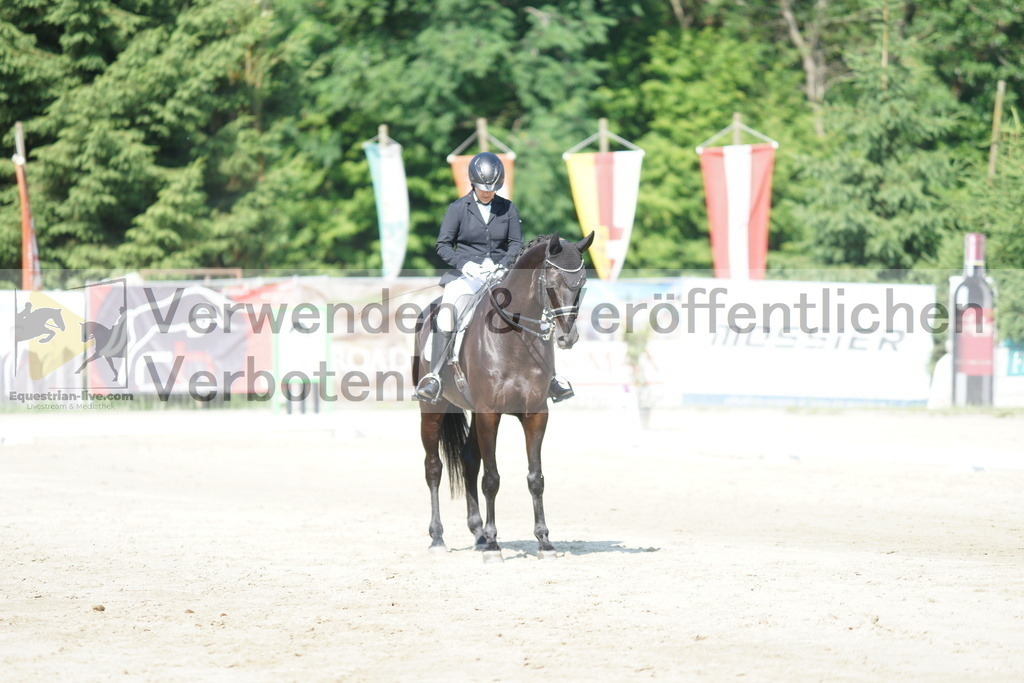 DSC02928 | equestrian-live-com