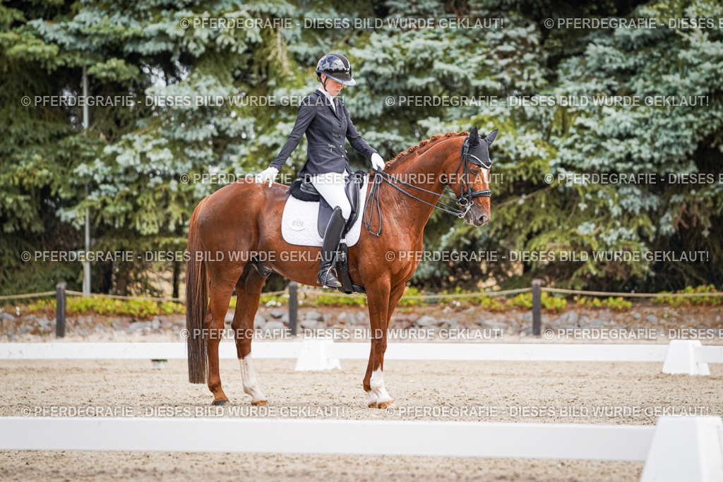 DSC04047 | Pferdegrafie