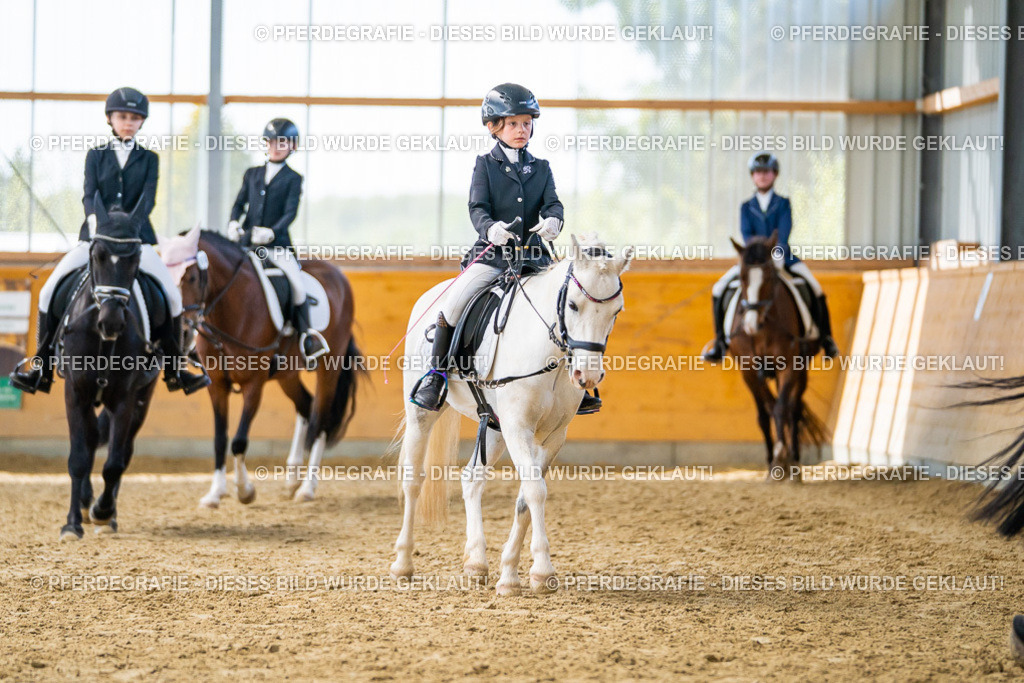 DSC01053 | Pferdegrafie