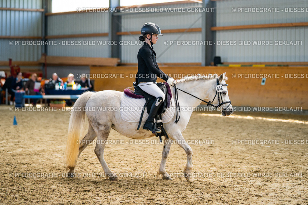 DSC02221 | Pferdegrafie