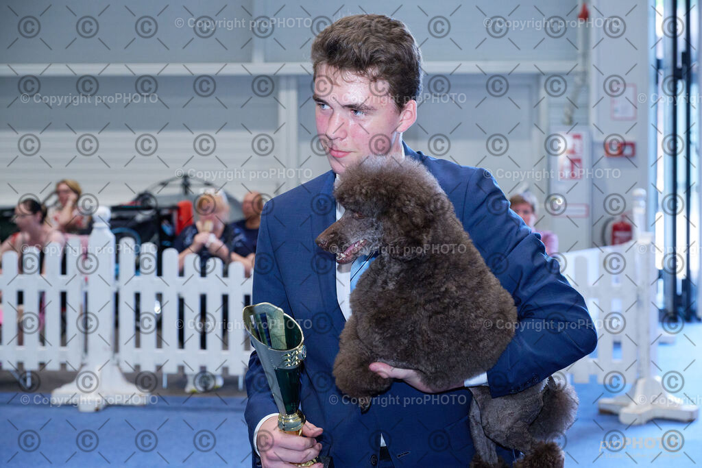 202406_ÖKV-IHA-Tulln24_NZ9_8598 | proPHOTO - Realisiert mit Pictrs.com