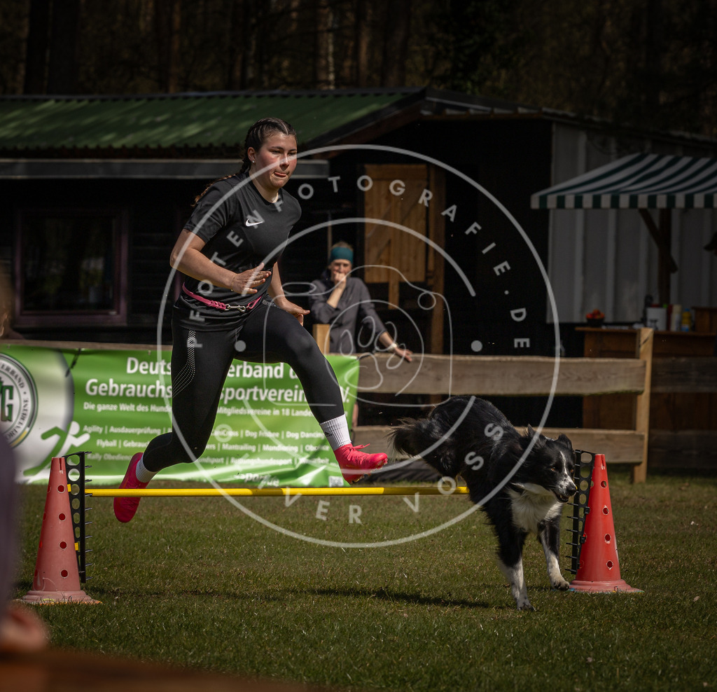 Pfotenfotografie_DV3A4014 | Hundefotografie, Tierfotograf, Pfotenfotografie, Fotoshooting Hund, Hunde Portrait, Hundesport, Hundeportraits, Heideshooting, Hunde, Sportfotograf, Hundefotograf, Turnierhundsport, THS,  - Realisiert mit Pictrs.com