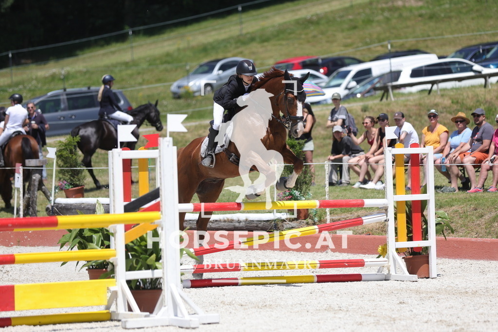 0P6A9277 | Willkommen bei Brunnmayr - Design & Fotografie – Ihrem Spezialisten für Reitturniere und Pferdeveranstaltungen in Oberösterreich, Salzburg und Bayern! Seit über 17 Jahren sind wir leidenschaftlich dabei.