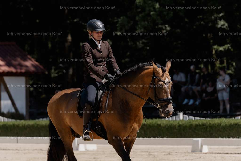 WE_DR_23_SinaFilmArt_IN02978 | working equitationturnier fotograf videograf stoibphotography marixx film working equitation deutschland reitsport turnierfotografie eventfotografie equestrian events