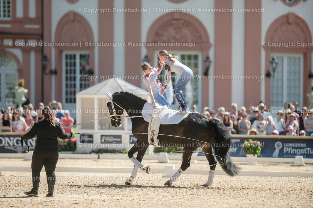 20230528_Voltigieren_NASPA_0294 | equistock