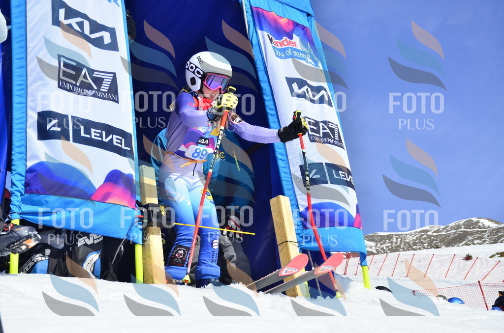 _ELE0476 | holidayphoto