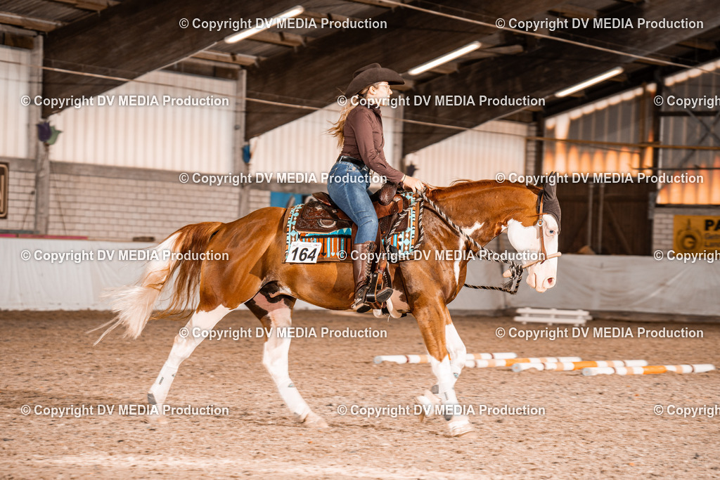 ZH300281 | dv-media-shop - Realisiert mit Pictrs.com