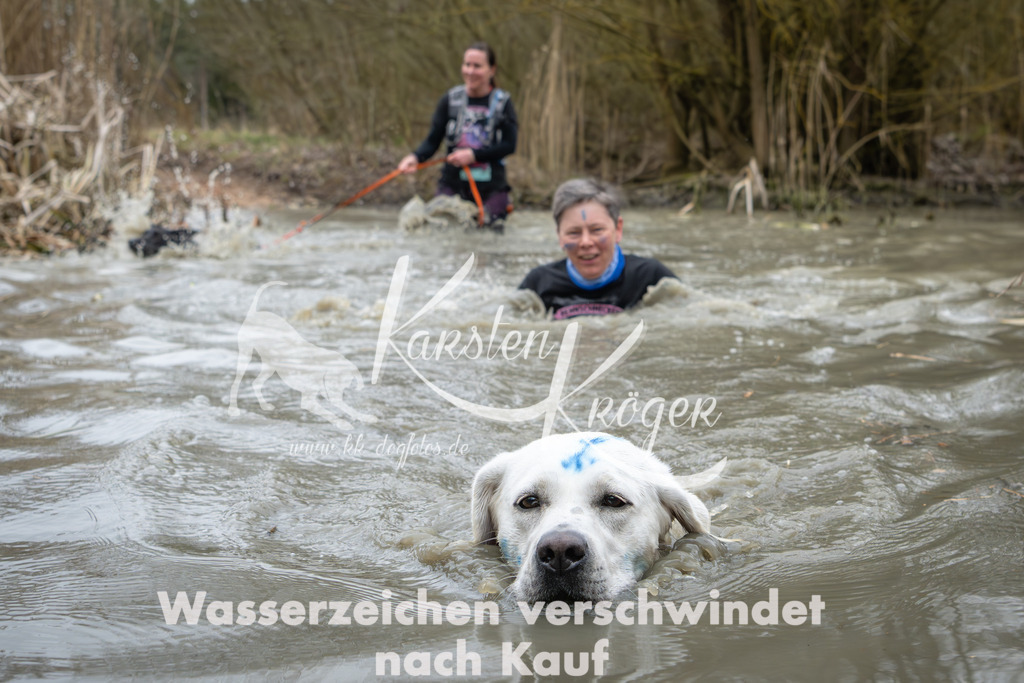 1344_ZZ92184 | kk-dogfotos
