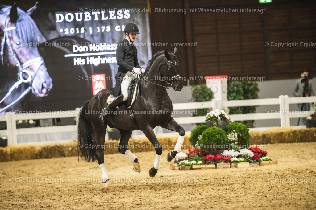 20240302_Hengstvorstellung_Marbach_TOMsPiC_1535 | equistock