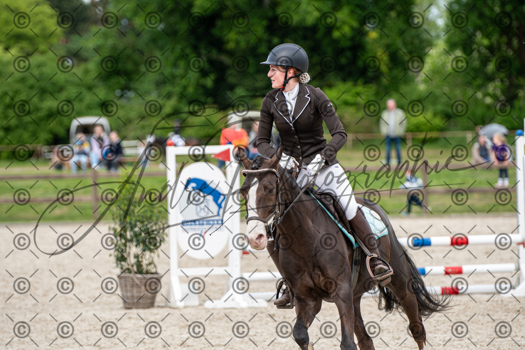 KPT_6310 | andre_photographic