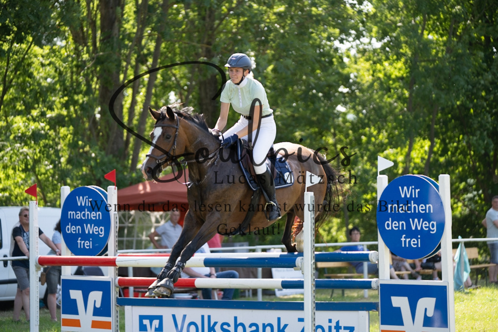 A7V06619 | Pferdefotograf