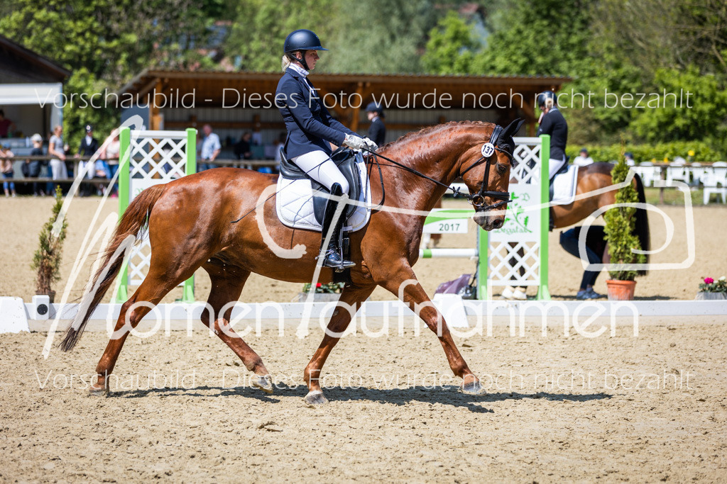 Donop24-L-Dre-114 | MomenTaufnahmen Pferdesportfotos