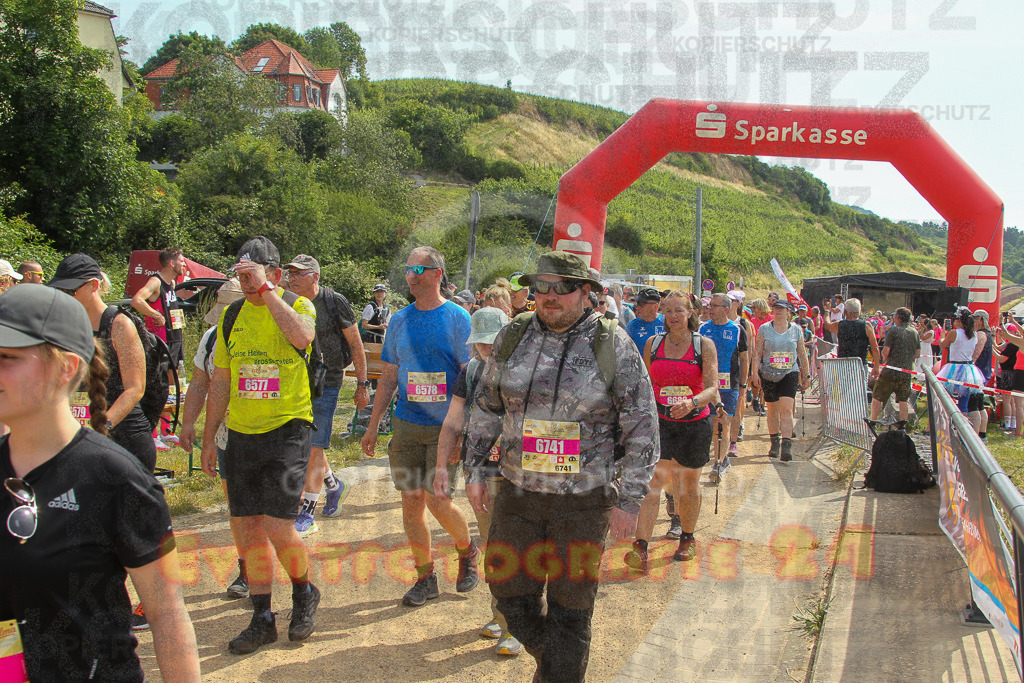 250614_1051_EV4_8432 | Sportfotografie im Rhein-Sieg Kreis, Köln, Bonn, NRW, Rheinland Pfalz, Hessen, etc. Unser Tätigkeitsfeld umfasst den Laufsport vom Volkslauf über den Marathon, Duathlon, Triathon bis zum Ultralauf wie Kölnpfad Ultra oder Schindertrail.