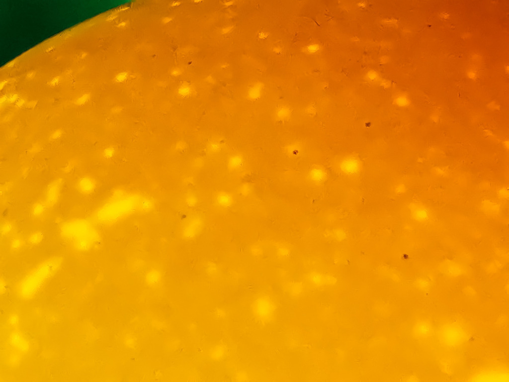 PSX_20230302_232452 | mtkfoto_ - Realisiert mit Pictrs.com