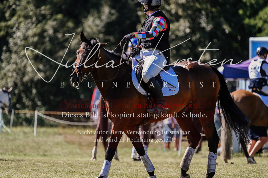 DSC_2574 | Pferde- und Turnierfotografie in Westsachsen. Pferdeportraits, Auftragszeichnungen und intuitive Kunst.