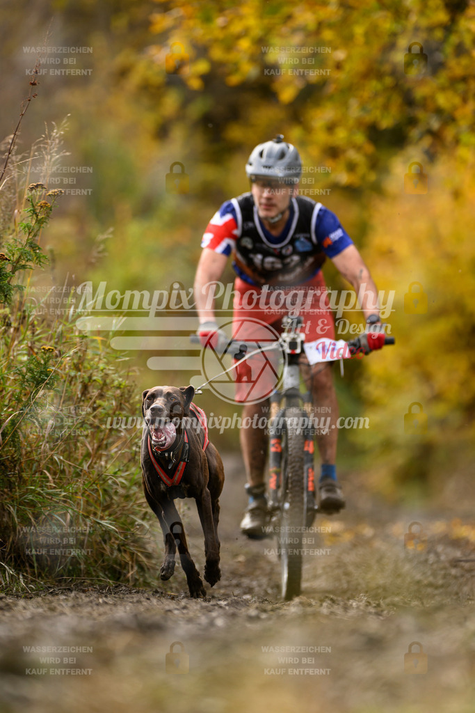MompixPhotography_ICF_WC_2024_SA_Bike_-220 | PayLife