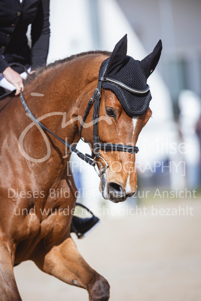 250419_Frühlingsfest_A-Stil1-452 | Deine schönsten Turniermomente als professionelle Fotos! Entdecke hochwertige Pferdesport-Fotografie im Online-Shop. Jetzt Fotos finden & bestellen!