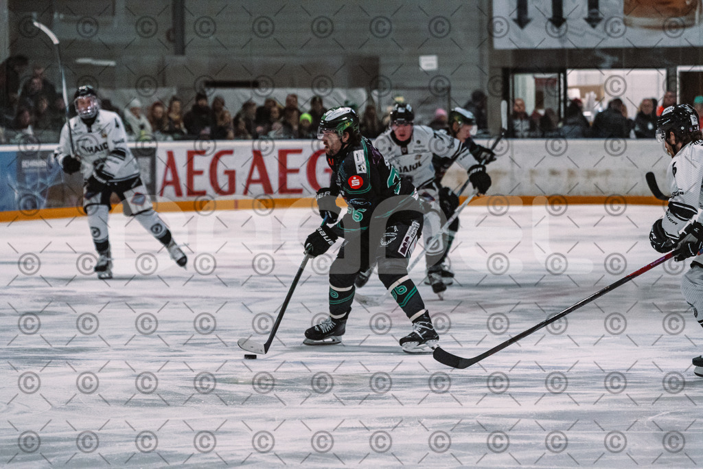 Alligators_vs_Passau_26_12_2025-044 | Höchstadt Alligators Fotogalerie: Eishockey-Action aus Franken. Professionelle Spielfotos, Portraits & Stadionbilder zum Download. Jetzt entdecken! - Realisiert mit Pictrs.com