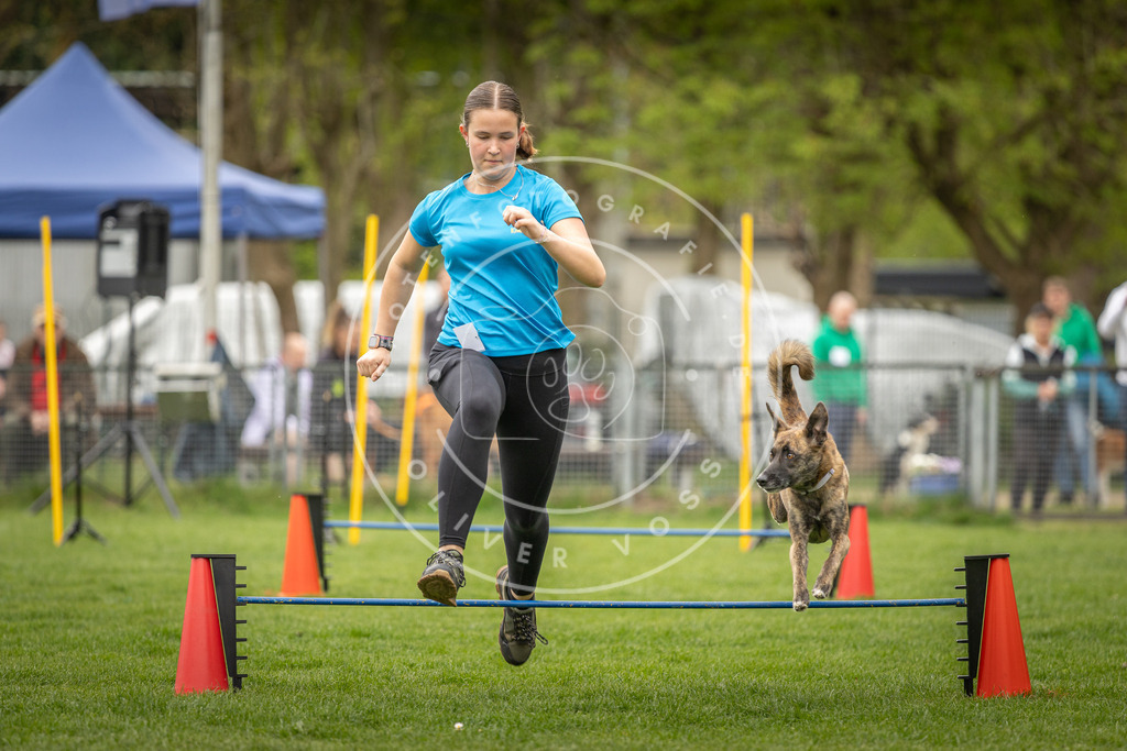 Pfotenfotografie_DV3A2520 | Hundefotografie, Tierfotograf, Pfotenfotografie, Fotoshooting Hund, Hunde Portrait, Hundesport, Hundeportraits, Heideshooting, Hunde, Sportfotograf, Hundefotograf, Turnierhundsport, THS,  - Realisiert mit Pictrs.com