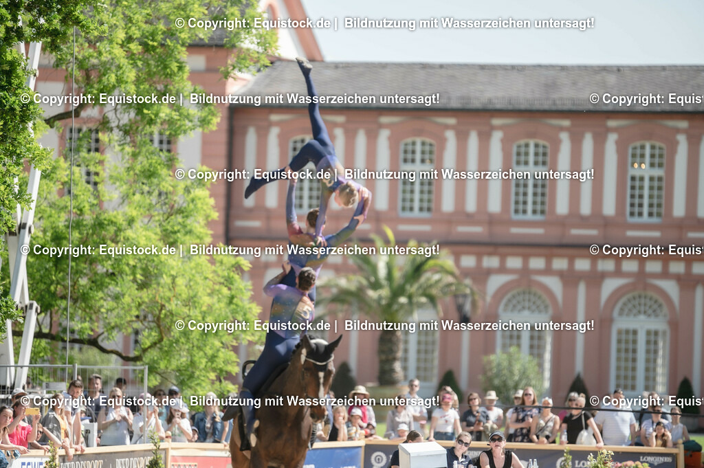 20230528_Voltigieren_NASPA_0505 | equistock