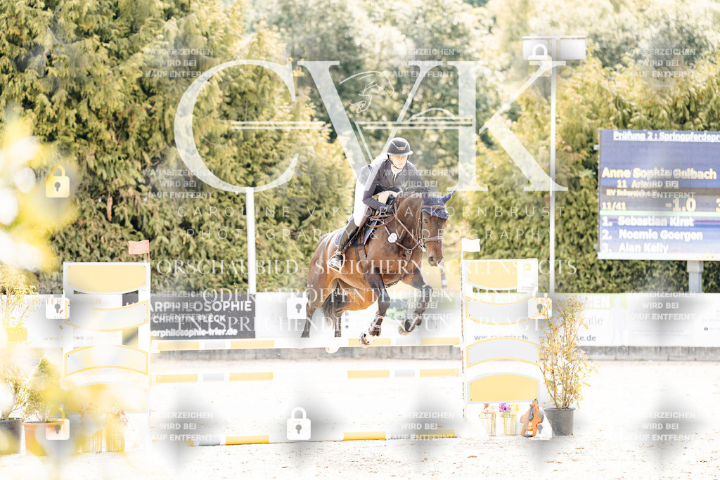 CK908926 | Turnierfotografie Pferdefotografie Trier Rheinland-Pfalz Pferdesport Reitsport Tierfotografie Sportfotografie Pferdevideo Pferdevideografie Equestrianvideography equestrianphotography  - Realisiert mit Pictrs.com