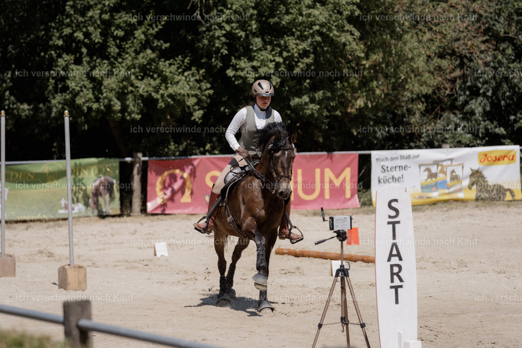 WM_SP_131_SinaFilmArt_IN06850 | working equitationturnier fotograf videograf stoibphotography marixx film working equitation deutschland reitsport turnierfotografie eventfotografie equestrian events