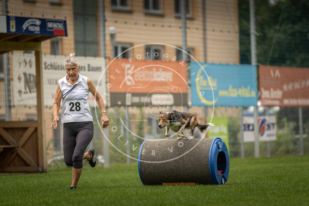Pfotenfotografie_DV3A8740 | Hundefotografie, Tierfotograf, Pfotenfotografie, Fotoshooting Hund, Hunde Portrait, Hundesport, Hundeportraits, Heideshooting, Hunde, Sportfotograf, Hundefotograf, Turnierhundsport, THS,  - Realisiert mit Pictrs.com
