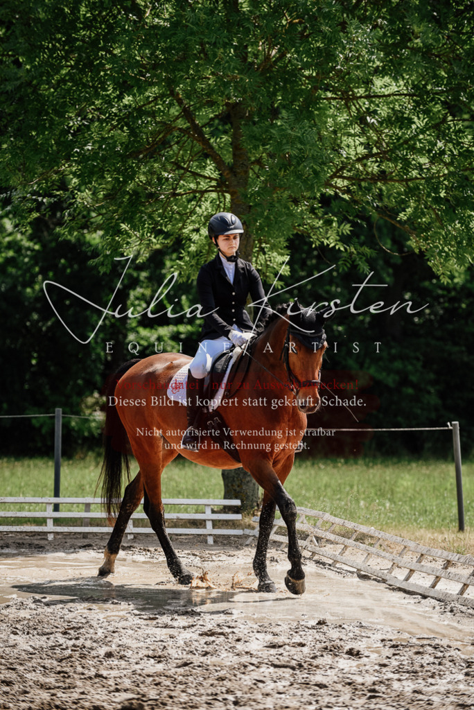 DSC_0960 | Pferde- und Turnierfotografie in Westsachsen. Pferdeportraits, Auftragszeichnungen und intuitive Kunst.