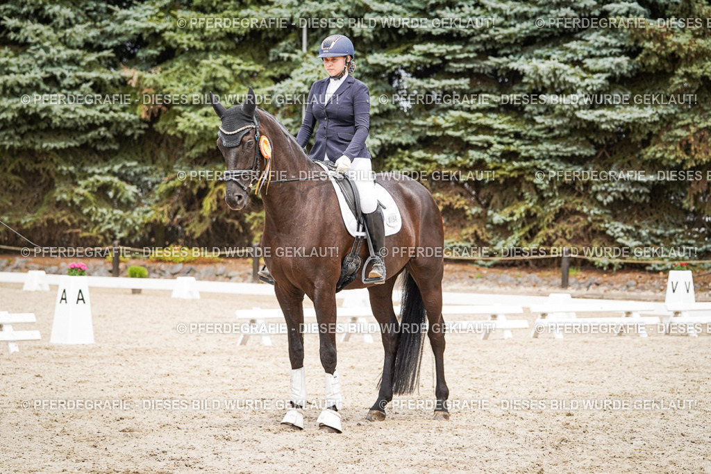 DSC04555 | Pferdegrafie