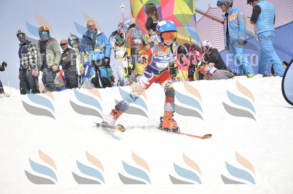 _ELE8883 | holidayphoto