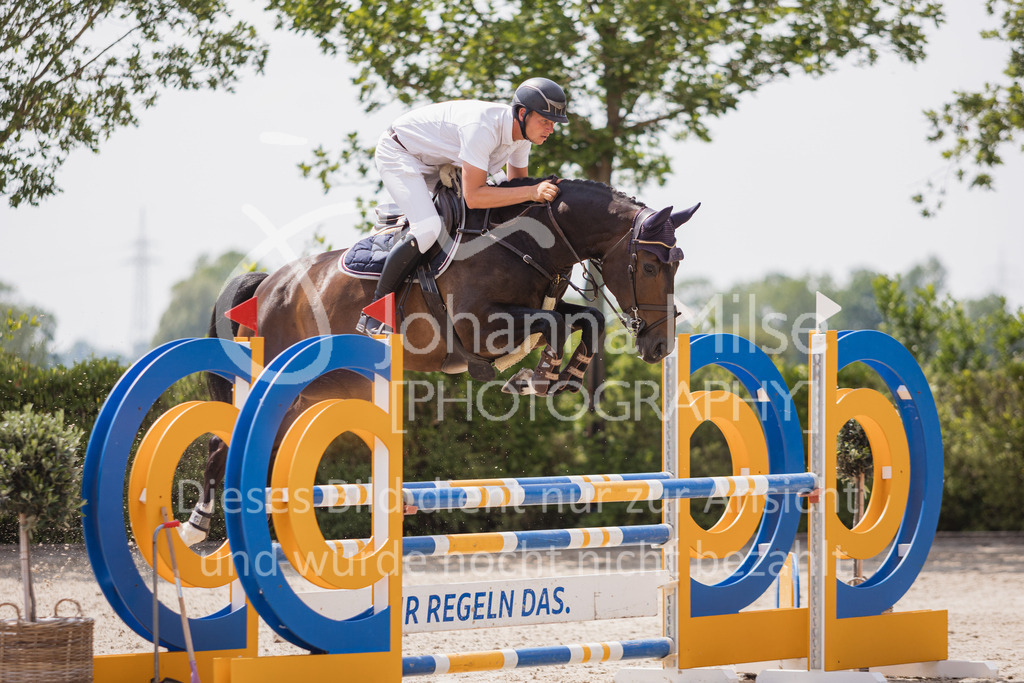 230616_Lemwerder_Springpf-L2-727 | Deine schönsten Turniermomente als professionelle Fotos! Entdecke hochwertige Pferdesport-Fotografie im Online-Shop. Jetzt Fotos finden & bestellen!