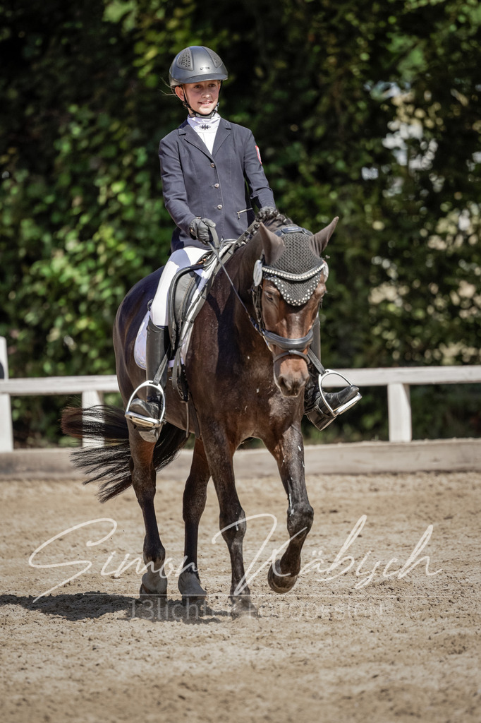 20250906-_3LI5299 | Tierfotografie Pferde, Hunde, Katzen, Haustiere.
Turnierfotografie Reitturniere, Reiten, Springreiten, Dressur in Hanau, dem Main-Kinzig-Kreis und dem Rhein-Main- Gebiet um Frankfurt