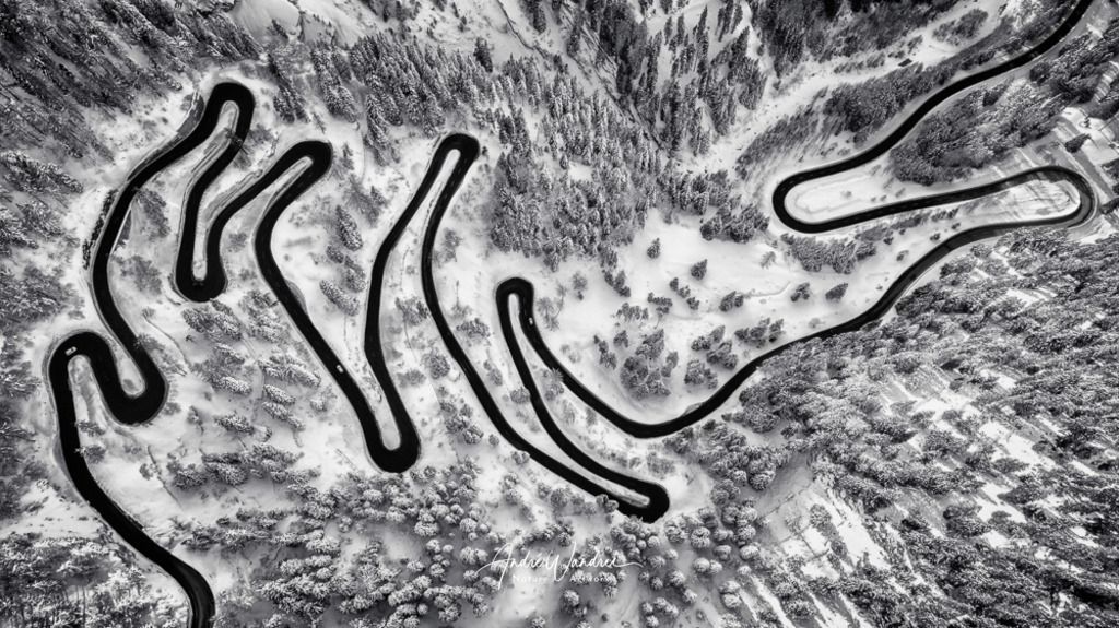 Schwarze Schlange | Andre Wandrei - Nature Artworx - Realisiert mit Pictrs.com