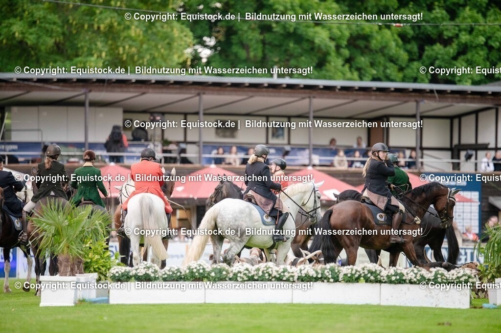 20250606_Lange-Pferdenacht_0482 | Foto: Thomas Hartig