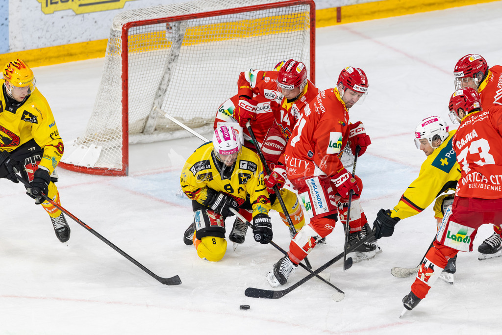 EHCB vs SCB 20260312_wb-4175 | Sportbilder, Sportfotograf, Hochzeits- und Eventfotografin, Flugshows, Portraits und Tiershooting, Aviation, Downhill, Nationalleague, Swissleague, International