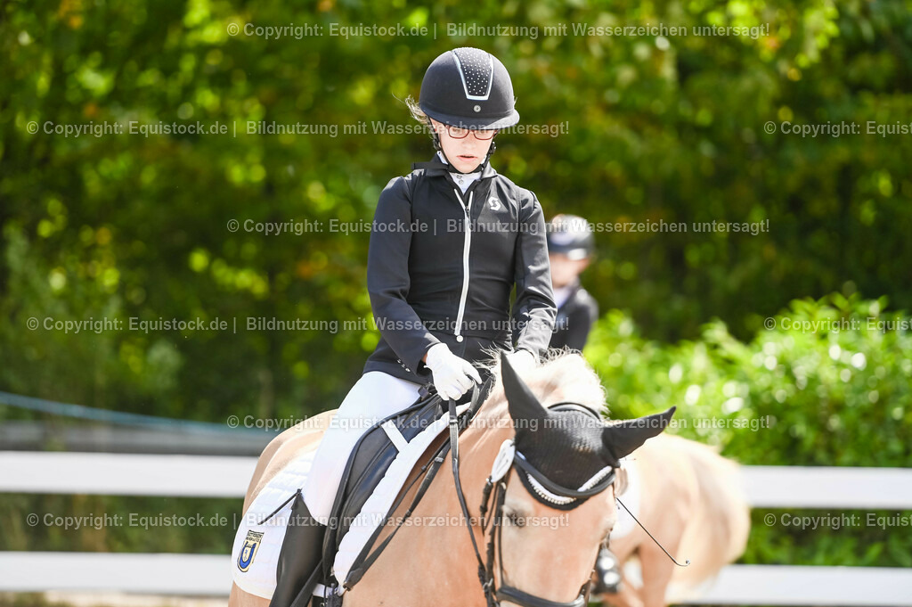 20230716_10-3_Reiter-WB Schritt - Trab - Galopp_0007 | equistock