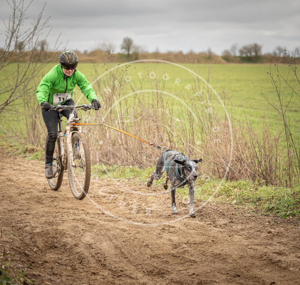DV3A0830 | Hundefotografie, Tierfotograf, Pfotenfotografie, Fotoshooting Hund, Hunde Portrait, Hundesport, Hundeportraits, Heideshooting, Hunde, Sportfotograf, Hundefotograf, Turnierhundsport, THS,  - Realisiert mit Pictrs.com
